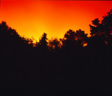 Weird-Sunset-2.jpg