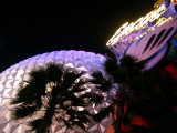 Great Ball of Epcot