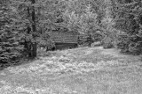 cabin-in-the-woods.jpg