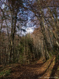 Arboretum - Aubonne