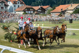 Course de chars  4 chevaux