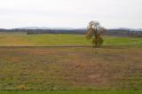 Gettysburg Field.jpg