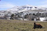 Neighbors Horse and Chinese Peak _DSC4921.jpg