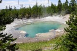 Emerald Spring Norris Area Yellowstone _DSC8852.jpg