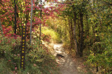 City Creek Trail _DSC1526.jpg