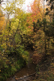 City Creek Autumn Scene Pocatello _DSC1805.jpg