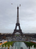 Eiffelturm mit Mwen MDSCF4192.jpg