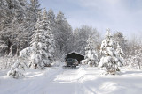 winter at home _DSC0457.jpg