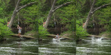 Homage to Thomas Eakins. “The Swimming Hole”