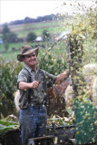 David at the corn shredder.