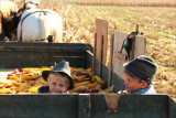 Brothers in corn.