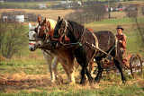 Plowing the neighbors garden.