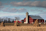 The Martin farm this Snowless Winter.