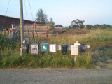 Mailboxes20before.JPG