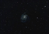 M101 Supernova