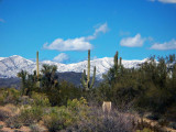 Snow in Arizona.jpg