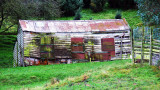 Shearing shed Dunedin.jpg