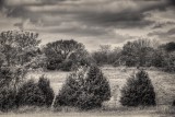 Arkansas Landscape