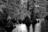 Reelfoot Lake