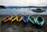 Tamales Bay Kayaks