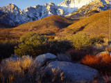 Sunrise Above Lone Pine No. 1