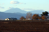  Sacramento Valley Farm at Days End