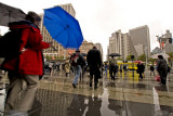 Another Rainy Crossing