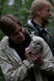 owl whisperer