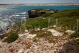 Lancelin Island