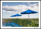 Blue Umbrellas