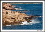 Otter Cliffs 2