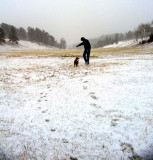 Dances With Dogs