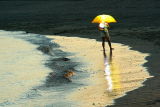 The Yellow Umbrella - Le parapluie jaune