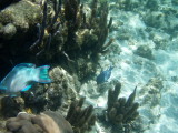 P0501.jpg