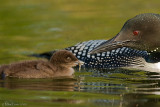 Intimate feeding