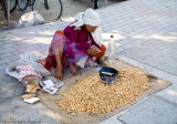 Peanut vendor