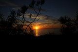 Torrey Pines 101508.jpg
