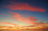 Torrey Pines 101508.jpg