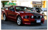 _BCH8782w.jpg