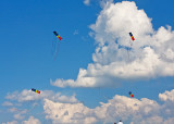 Watching stunt kites