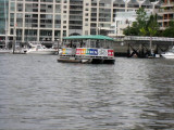 IMG_4195xss.jpg