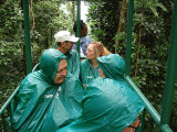 This why its called a rain forest.