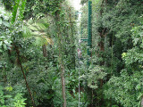 Another view from the sky ride.