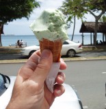 afternoon ice cream (menthe de chocolate)