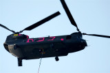 Closeup on the Chinook