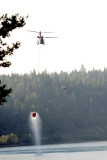 Chinook and Blackhawk