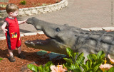 Eli Meets A Gator!