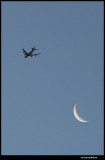 Fly me to the moon