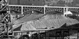 IMG_0251bw_08web.jpg