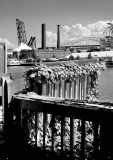 IMG_0353bw.jpg